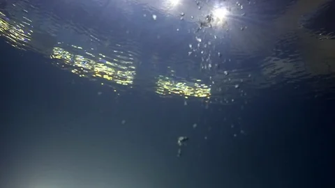 Swimming pool, view from underwater Stock Footage 83062786