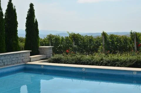 Swimming Pool by Vineyard Stock Photos