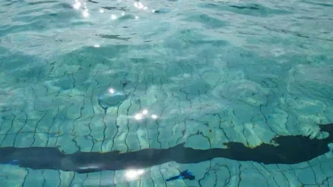 Swimming pool water Stock Footage 77877724