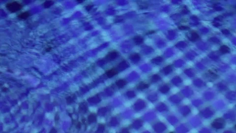 Swimming pool water in movement Stock Footage 73234445