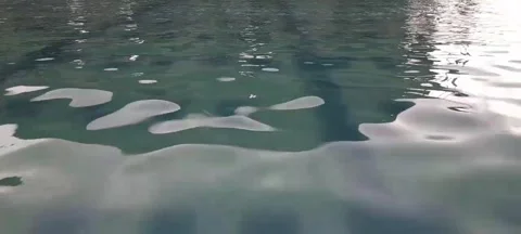 Swimming pool water ripple Stock Footage 221985105
