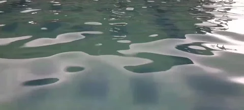Swimming pool water ripple Stock Footage 221985109