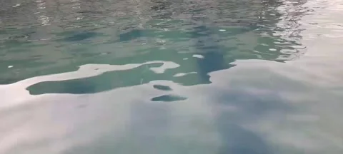 Swimming pool water ripple Stock Footage 221985115