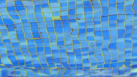 Swimming Pool Water Surface Abstract Background Stock Footage 312291578