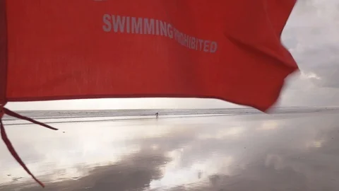 Swimming prohibited flag strong wind on a beach, a surfer on a background Stock Footage 107238500