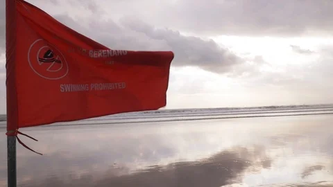 Swimming prohibited flag strong wind on a beach, a surfer on a background Vidéo 107238502
