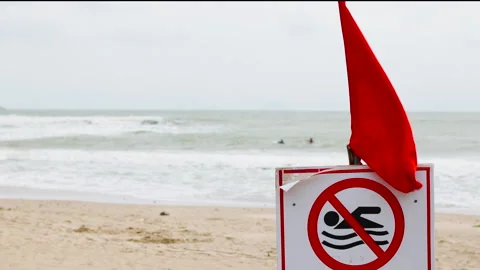 Swimming is prohibited red flag. Video stock 295608287