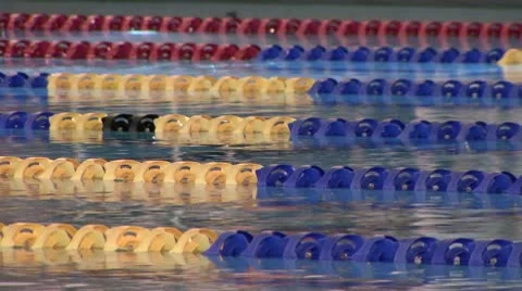 Swimming Race Static Shot Stock Footage 10787589