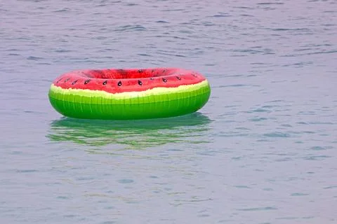 Swimming ring with a watermelon pattern on the surface of the water in the .. Stock Photos