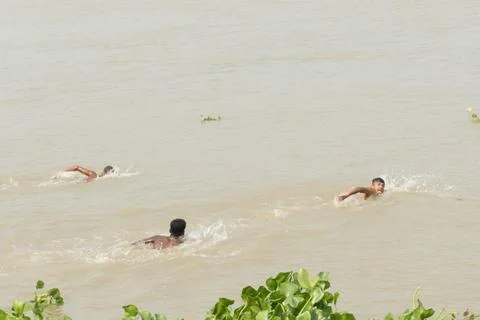Swimming into the river Stock Photos