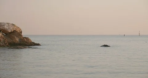 Swimming Sea Dawn Stock Footage 112940189
