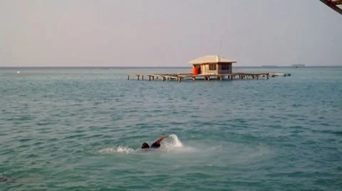 Swimming in The Sea Stock Footage 7899572