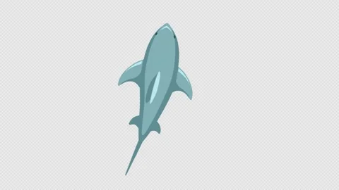 Swimming shark Stock Footage 232128496