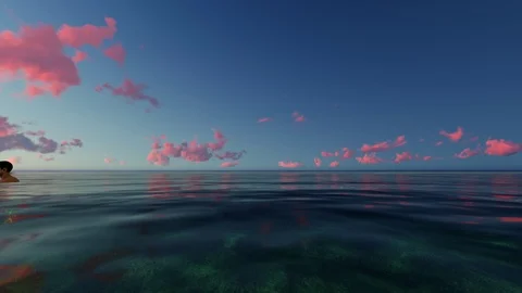 Swimming in the Sunset Stock Footage 90947702