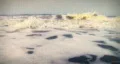 Swimming in the Surf - No Birds and with Audio! HD Footage