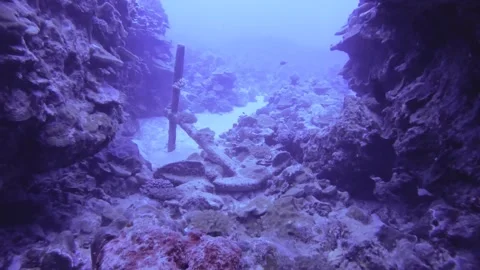 Swimming through the Edna Anchor through coral reef gap at the side of hard cora Stock Footage 261682045