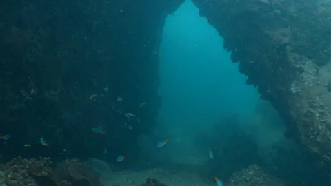 Swimming through Stock Footage 281930433