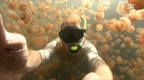 Swimming through Jellyfish swarm Stock Footage