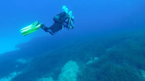 Swimming through plankton 스톡 동영상 90843026