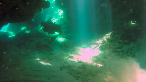 Swimming through a tunnel while diving in Utila 스톡 동영상 70834419