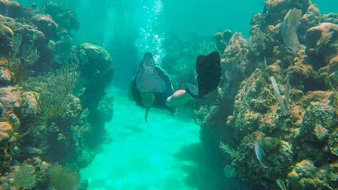 Swimming through a tunnel while diving in Utila Stock Footage 70834974