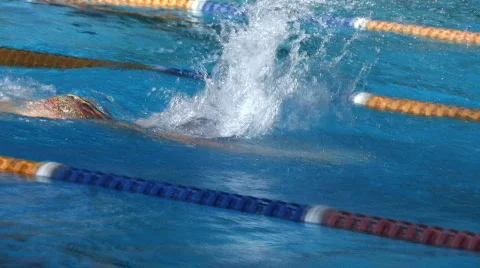 Swimming Training Stock Footage 755987