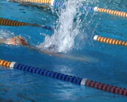 Swimming Training Stock Footage 756029