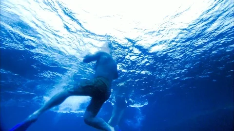 Swimming with Tuna Stock Footage 80181657