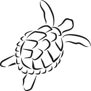 Swimming turtle caligraphy style Stock Illustration