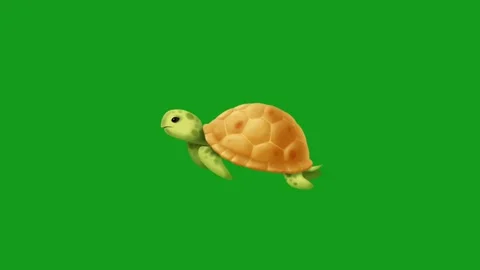 Swimming turtle motion graphics with green screen background Stock Footage 134116363