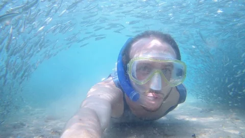 Swimming under a bridge of fish Stock Footage 115476513