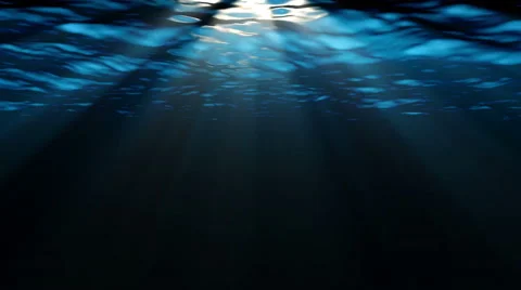 Swimming under the deep blue sea Stock Footage 62012805