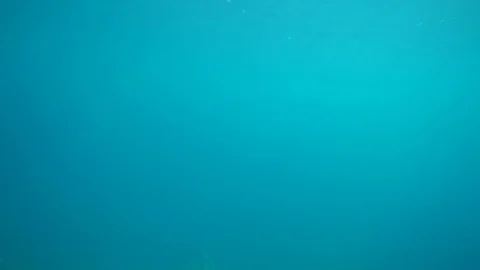 Swimming under sea level Stock Footage 75248399