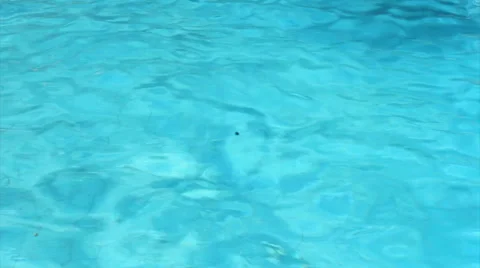 Swimming under water Stock Footage 40707545