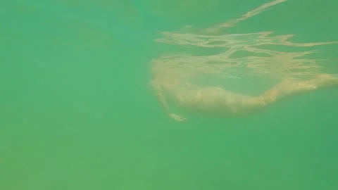 Swimming under water Video stock 139928990