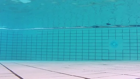 Swimming under water over the camera Stock Footage 87932380