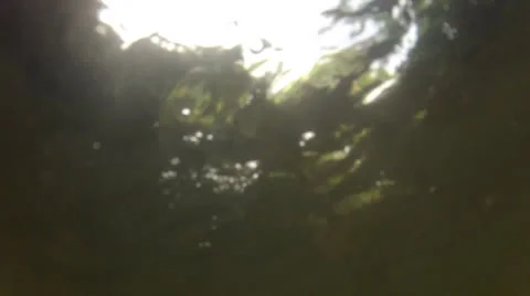 Swimming Underwater Vídeos de archivo 25853538