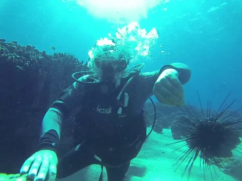 Swimming underwater Stock Footage 77047046