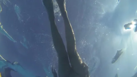 Swimming Underwater Stock Footage 137550319