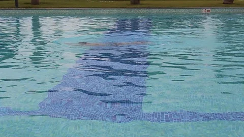 Swimming in water Stock Footage 91237191