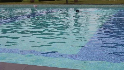 Swimming in water Stock Footage 91237282