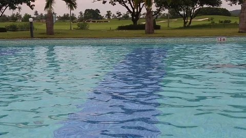 Swimming in water Stock Footage 91237417