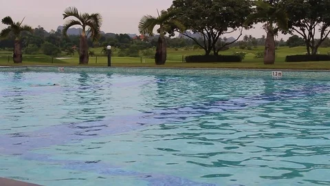 Swimming in water Stock Footage 91237507
