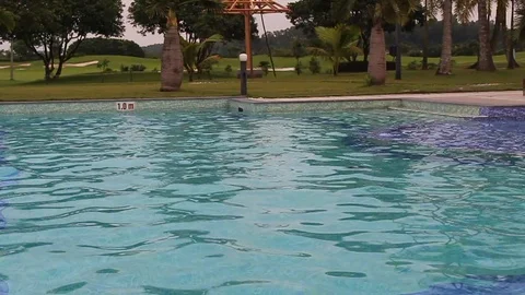 Swimming in water Stock Footage 91237605