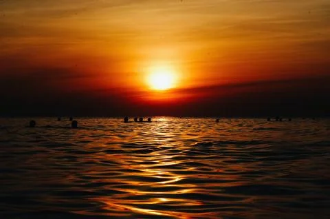 Swimming while enjoying the sunset Stock Photos