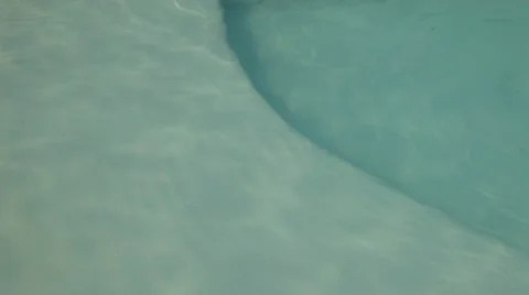 Swimmingpool / Water Stock Footage 10730164