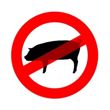 Swine flu Stock Illustration
