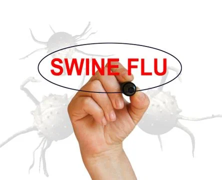 Swine flu Stock Illustration