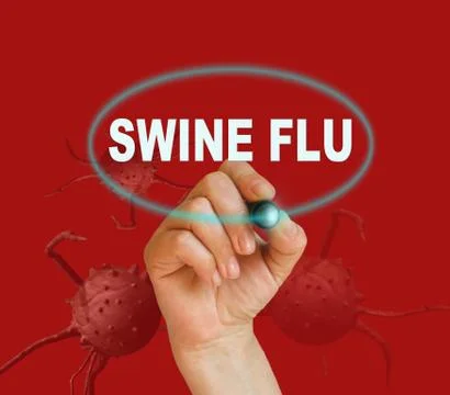 Swine flu Stock Illustration
