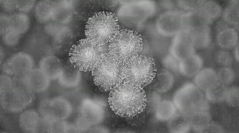 Swine Flu virus sim one Stock Footage 373847